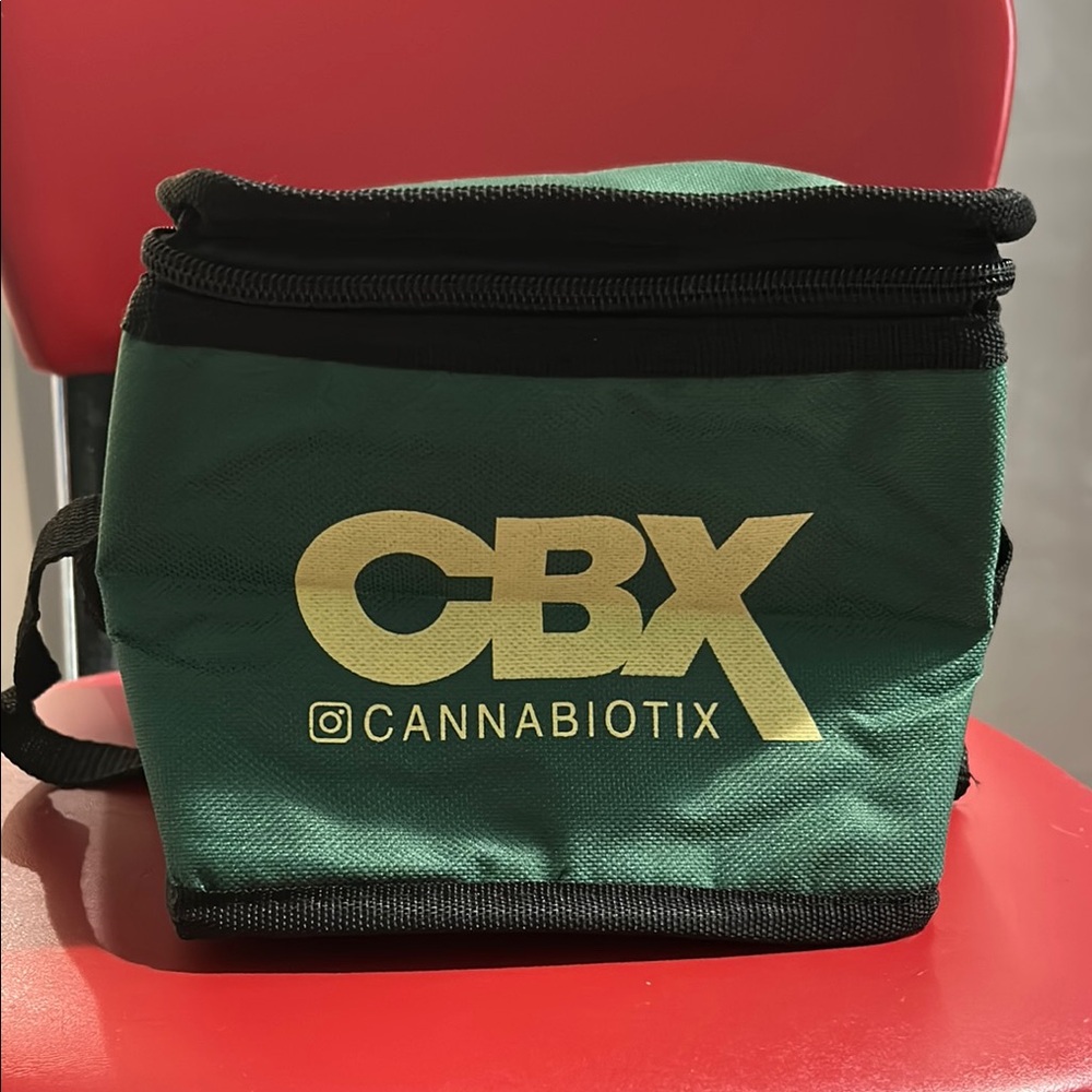 Green and Black Insulated Bag